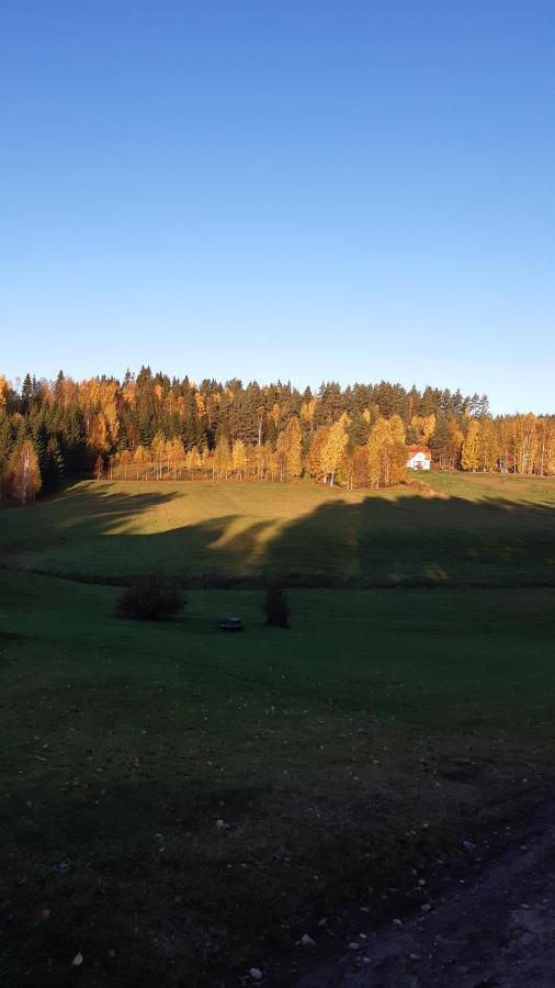 Stuga Asnagard Torsby Extérieur photo