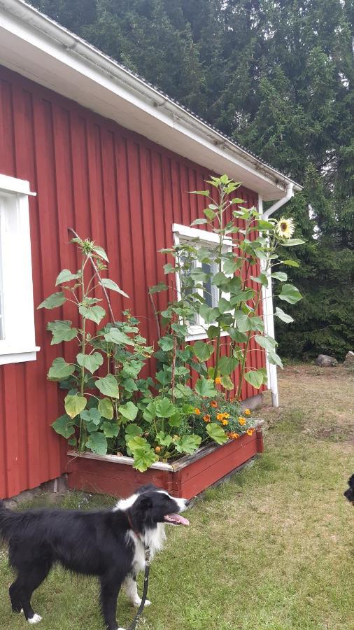 Stuga Asnagard Torsby Extérieur photo